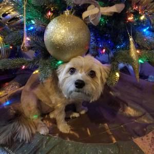 Meet your Posher, Jackie-kiley